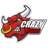 Crazy Bull